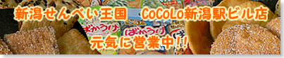 新潟せんべい王国CoCoLo新潟駅ビル店